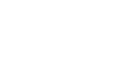 Cerdic Foundries